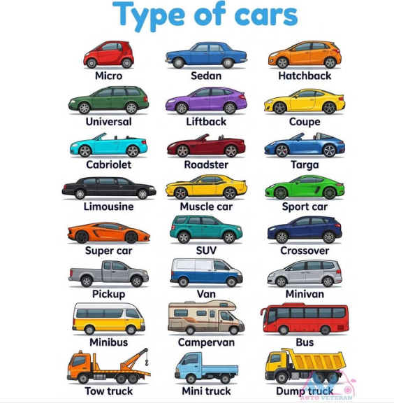 Type of Cars